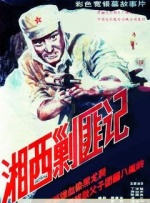 无毛网站